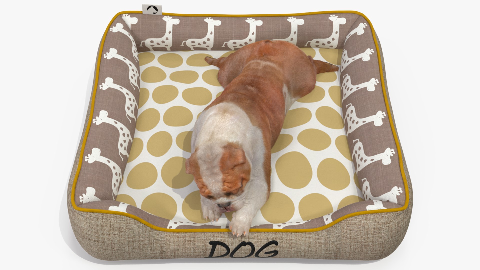 3D Bulldog Sleep in Pet Bed Fur model https://p.turbosquid.com/ts-thumb/3A/fg2M9x/gD/bulldogsleepinpetbedfurvray3dmodel010/jpg/1705872894/1920x1080/fit_q87/89f9286fea5d4fbc7795097c824062341b045eb0/bulldogsleepinpetbedfurvray3dmodel010.jpg