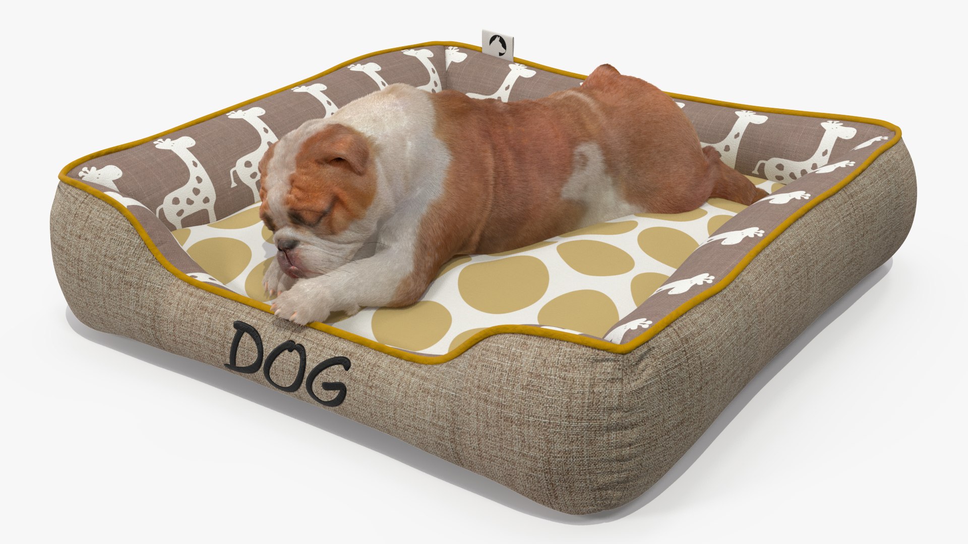 3D Bulldog Sleep in Pet Bed Fur model https://p.turbosquid.com/ts-thumb/3A/fg2M9x/uU/bulldogsleepinpetbedfurvray3dmodel008/jpg/1705872882/1920x1080/fit_q87/857c258bc67b6baec45eb90504304e1ed669d74b/bulldogsleepinpetbedfurvray3dmodel008.jpg