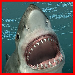 3ds max great white shark