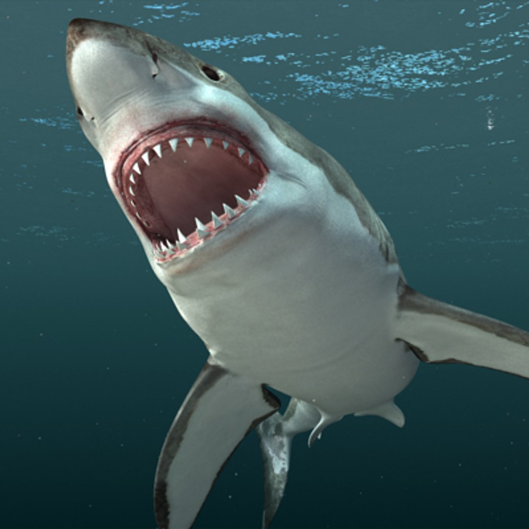 3ds Max Great White Shark