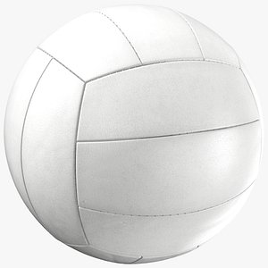 Generic Volleyball Ball White