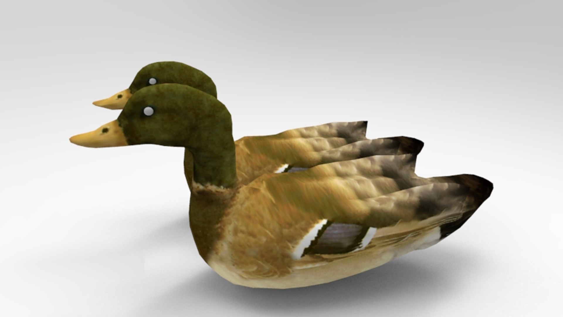 Swimming Ducks 3D Model - TurboSquid 1202012