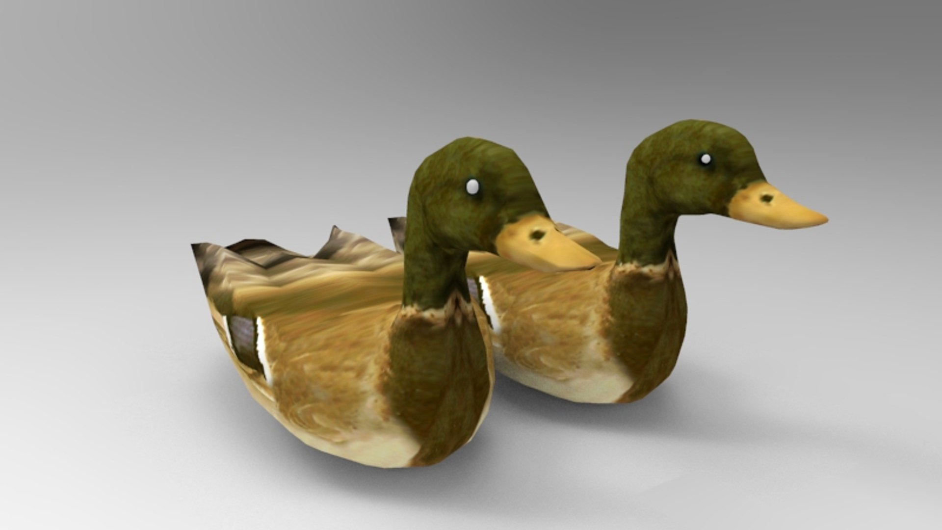 Swimming Ducks 3D Model - TurboSquid 1202012