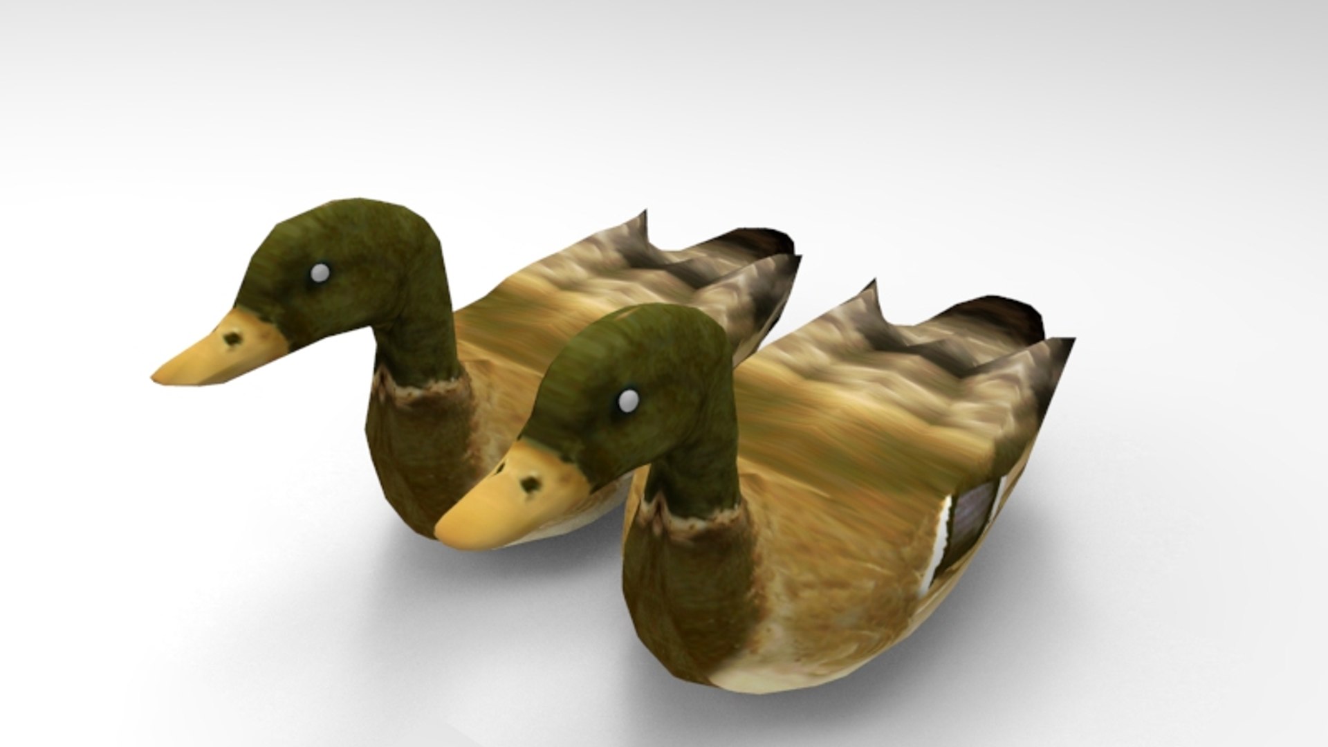 Swimming Ducks 3D Model - TurboSquid 1202012
