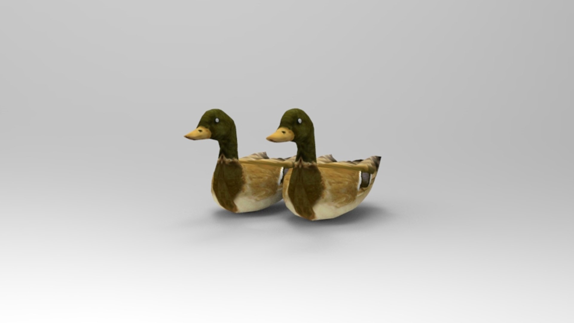 Swimming Ducks 3D Model - TurboSquid 1202012