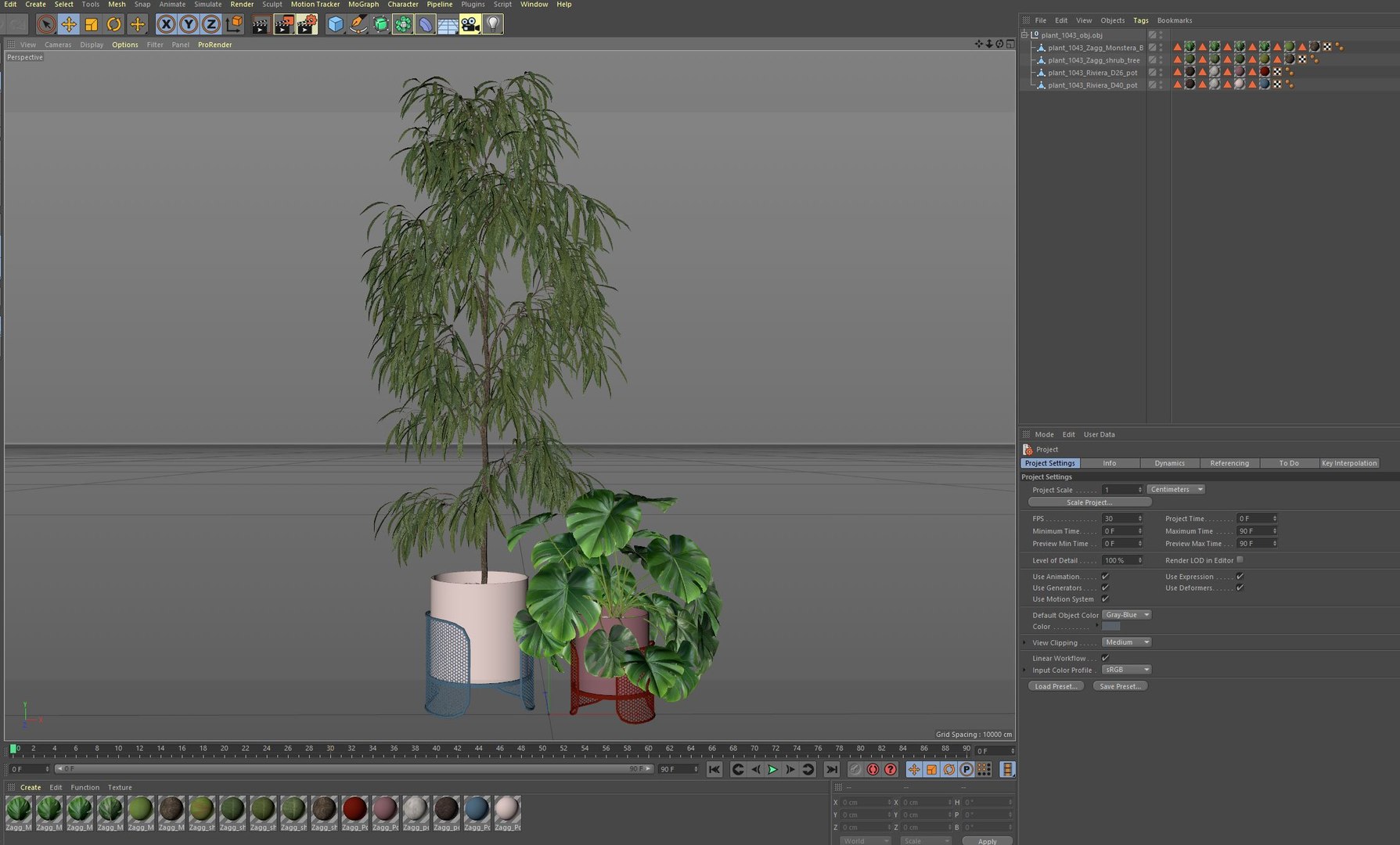Plants collection 1043 Mambo Riviera 3D model https://p.turbosquid.com/ts-thumb/3B/7xOwih/I5/plant_1043_07/jpg/1709895009/1920x1080/fit_q87/f895ddfb132531da55786918e2814621d5829a11/plant_1043_07.jpg