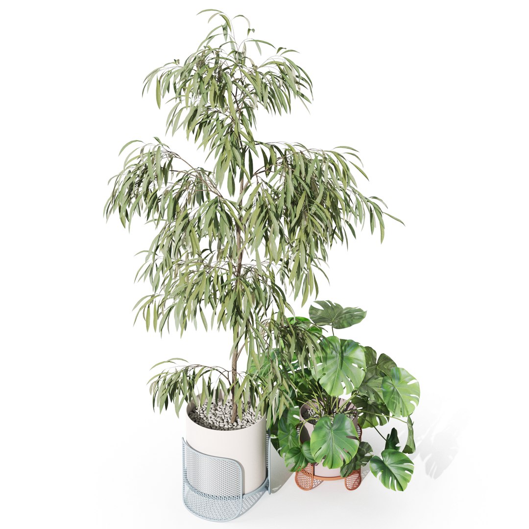 Plants collection 1043 Mambo Riviera 3D model https://p.turbosquid.com/ts-thumb/3B/7xOwih/LG/plant_1043_03/jpg/1709895007/1920x1080/fit_q87/e048e2fcfb5cff955e9e4ad384ae4ea0682a41d4/plant_1043_03.jpg