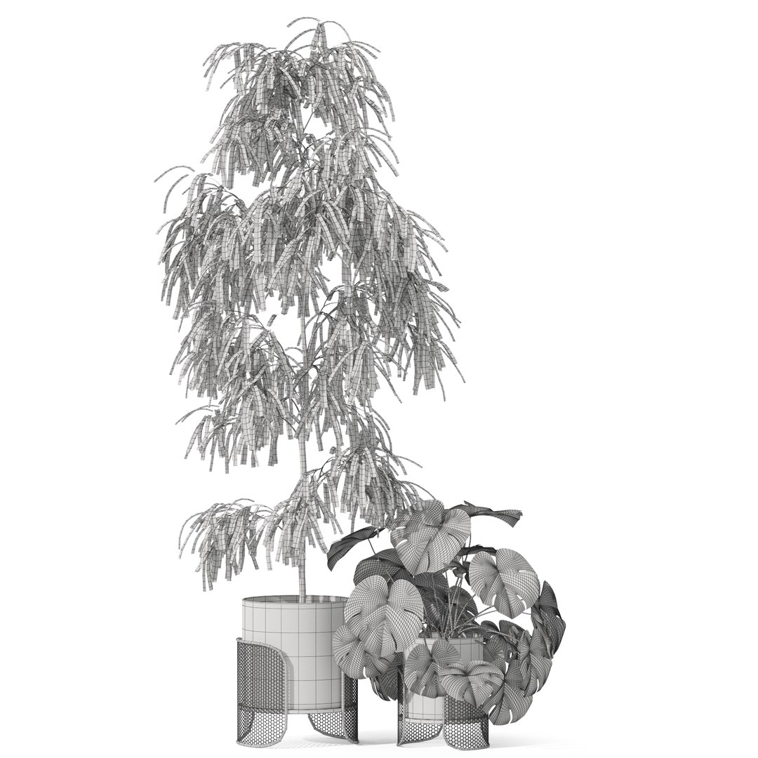 Plants collection 1043 Mambo Riviera 3D model https://p.turbosquid.com/ts-thumb/3B/7xOwih/sd/plant_1043_04/jpg/1709895007/1920x1080/fit_q87/6c099fc0923cf8d71af2abadb783743d62fbdabc/plant_1043_04.jpg