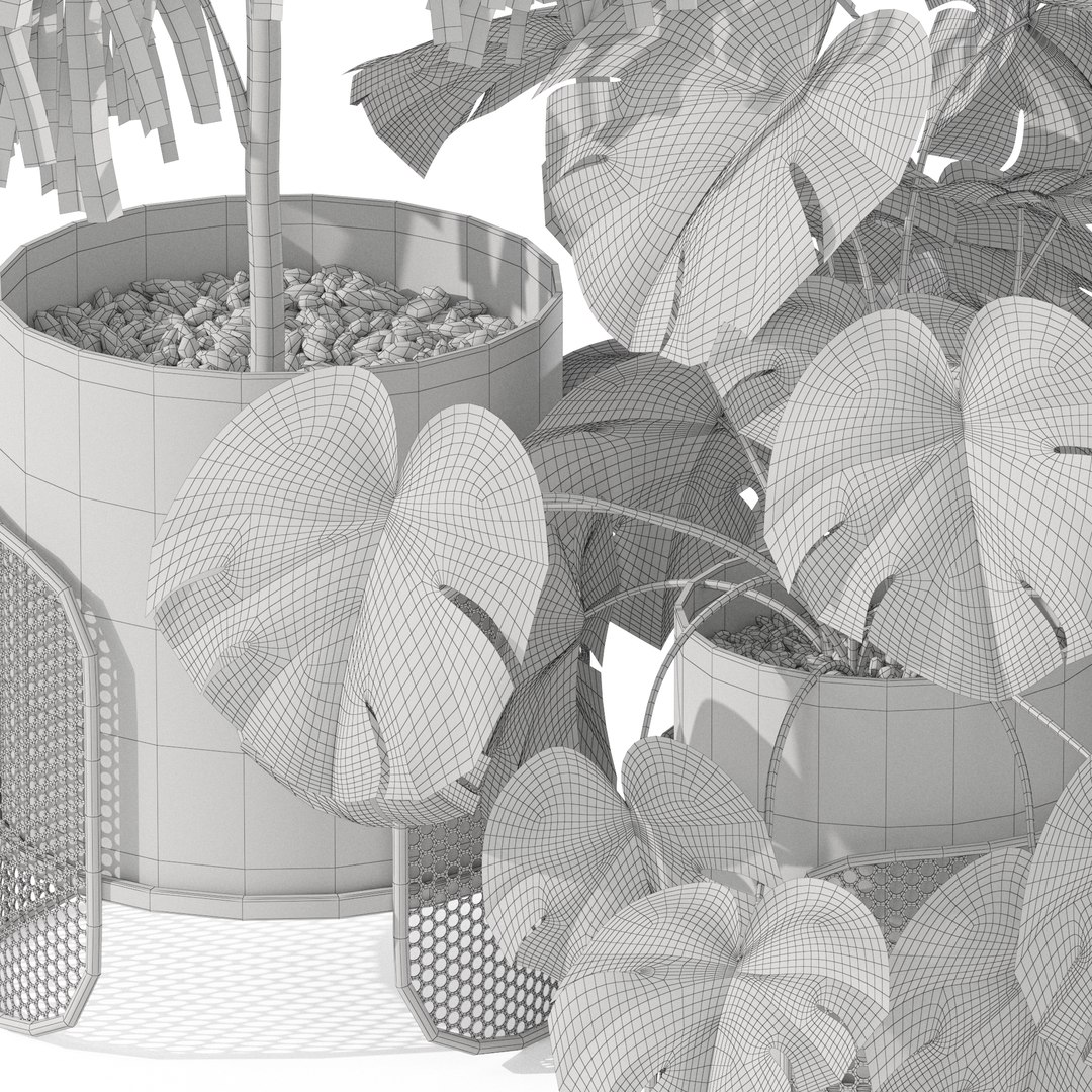 Plants collection 1043 Mambo Riviera 3D model https://p.turbosquid.com/ts-thumb/3B/7xOwih/uR/plant_1043_05/jpg/1709895008/1920x1080/fit_q87/d4f24c4a1a69b2cfec3036c8cf75bdbc3101401b/plant_1043_05.jpg