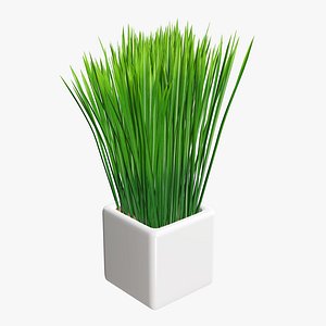 3D grass pot long model