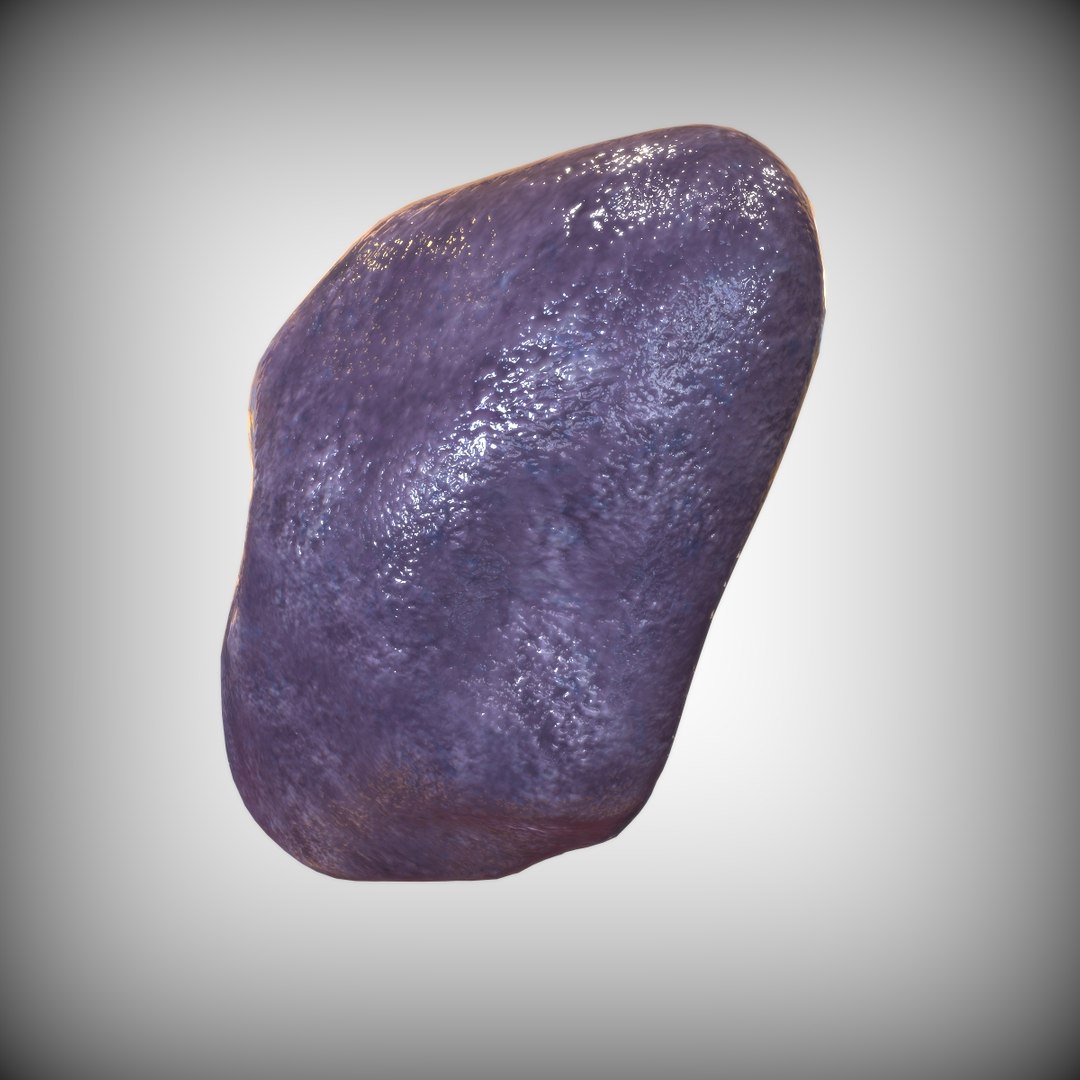 human spleen 3D model https://p.turbosquid.com/ts-thumb/3B/aHzb2e/BSc27fYf/left_view/jpg/1583887404/1920x1080/fit_q87/70244321ad2f2b0ea779f85e63555ea6a08a0346/left_view.jpg