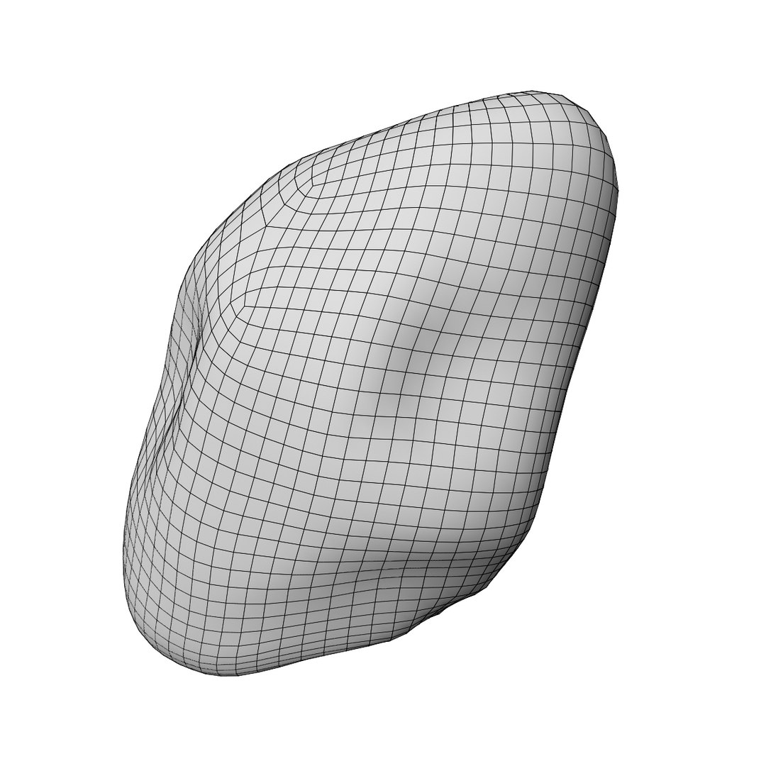 human spleen 3D model https://p.turbosquid.com/ts-thumb/3B/aHzb2e/fFTAQ7db/wire1/jpg/1583887404/1920x1080/fit_q87/5f07b8d2199c2db242493ea01e5674609bf7b002/wire1.jpg