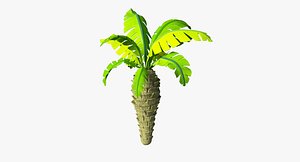 toon palm 3d model