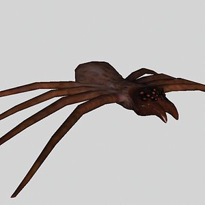 Spider.3ds