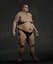Overweight Human Anatomy