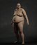 Overweight Human Anatomy