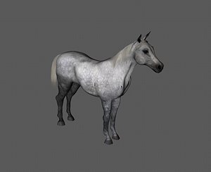 3D Realistic horse European horse war horse horse steed horse sweat blood BMW next generation swift hor model