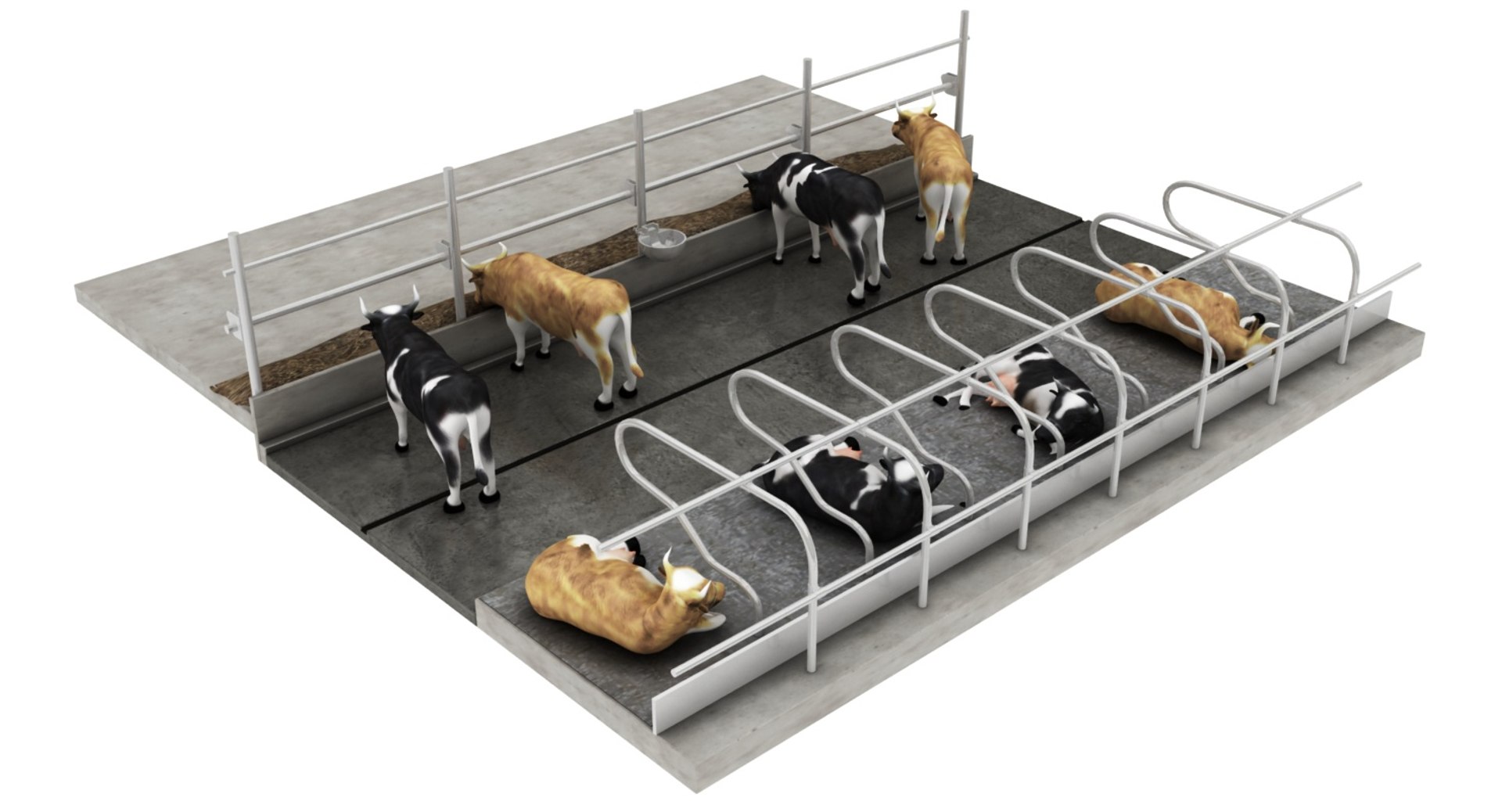 Cow Farm Block 3D Model - TurboSquid 1423429