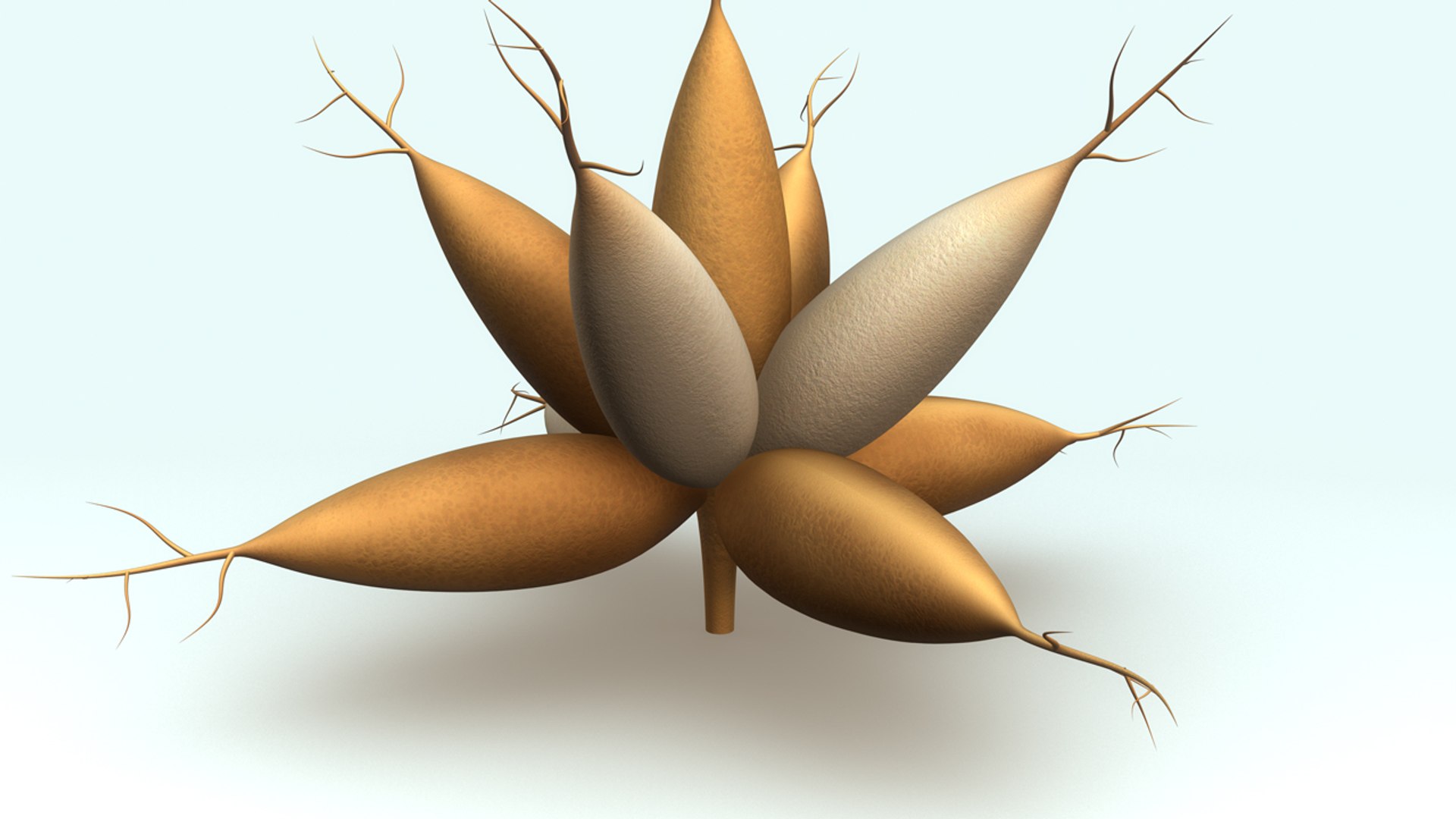 obj asparagus vegetable https://p.turbosquid.com/ts-thumb/3C/9Qnaue/6xN6EdBc/b0250asparagus_root_aerial/jpg/1467351641/1920x1080/fit_q87/bb31656ee369ae3ba042879a627e341fb83cbcce/b0250asparagus_root_aerial.jpg