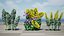 Realistisches 3D-Modell der Euphorbia-Pflanze