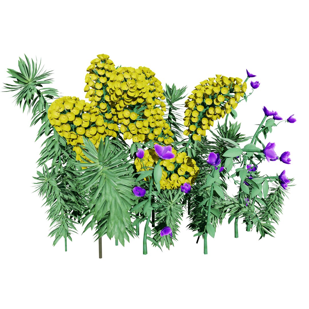 Realistic Euphorbia Plant 3D Model 3D model https://p.turbosquid.com/ts-thumb/3C/GISvlB/0I/ecsw2/jpg/1731519662/1920x1080/fit_q87/ee04d62d068fa692dd5b82427915d726005d738a/ecsw2.jpg