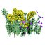Realistisches 3D-Modell der Euphorbia-Pflanze