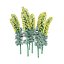 Realistisches 3D-Modell der Euphorbia-Pflanze