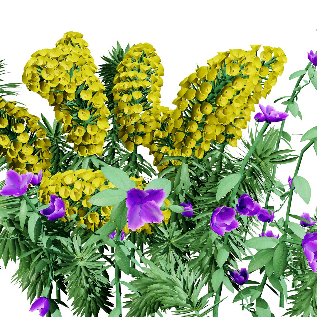 Realistic Euphorbia Plant 3D Model 3D model https://p.turbosquid.com/ts-thumb/3C/GISvlB/PD/02ecsw2z12/jpg/1731519642/1920x1080/fit_q87/b7b44334d87cdabce0f1544bae6c34da824da90e/02ecsw2z12.jpg