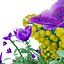 Realistisches 3D-Modell der Euphorbia-Pflanze