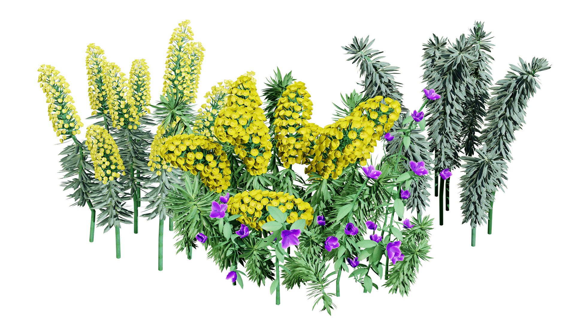 Realistic Euphorbia Plant 3D Model 3D model https://p.turbosquid.com/ts-thumb/3C/GISvlB/XX/00artcover/jpg/1731519646/1920x1080/fit_q87/7d074c7a7305e0a45d31075ac0cda7adc92f71c6/00artcover.jpg
