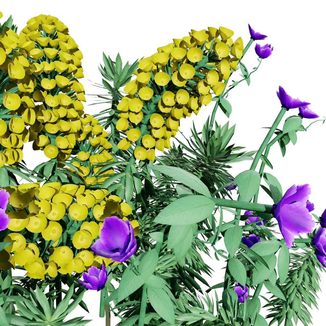 Realistic Euphorbia Plant 3D Model 3D model https://p.turbosquid.com/ts-thumb/3C/GISvlB/a7/ecsw221/jpg/1731519680/1920x1080/fit_q87/082c66357fabca3d7094202ab868ee9714748ca6/ecsw221.jpg