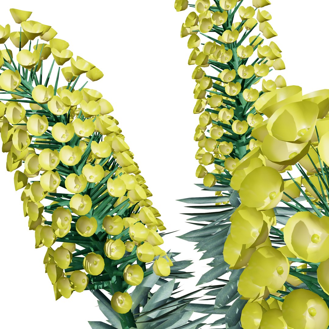 Realistic Euphorbia Plant 3D Model 3D model https://p.turbosquid.com/ts-thumb/3C/GISvlB/d3/ecsw231/jpg/1731519677/1920x1080/fit_q87/e5239cfb5b66e53b8874413b7f870de82b3dc268/ecsw231.jpg