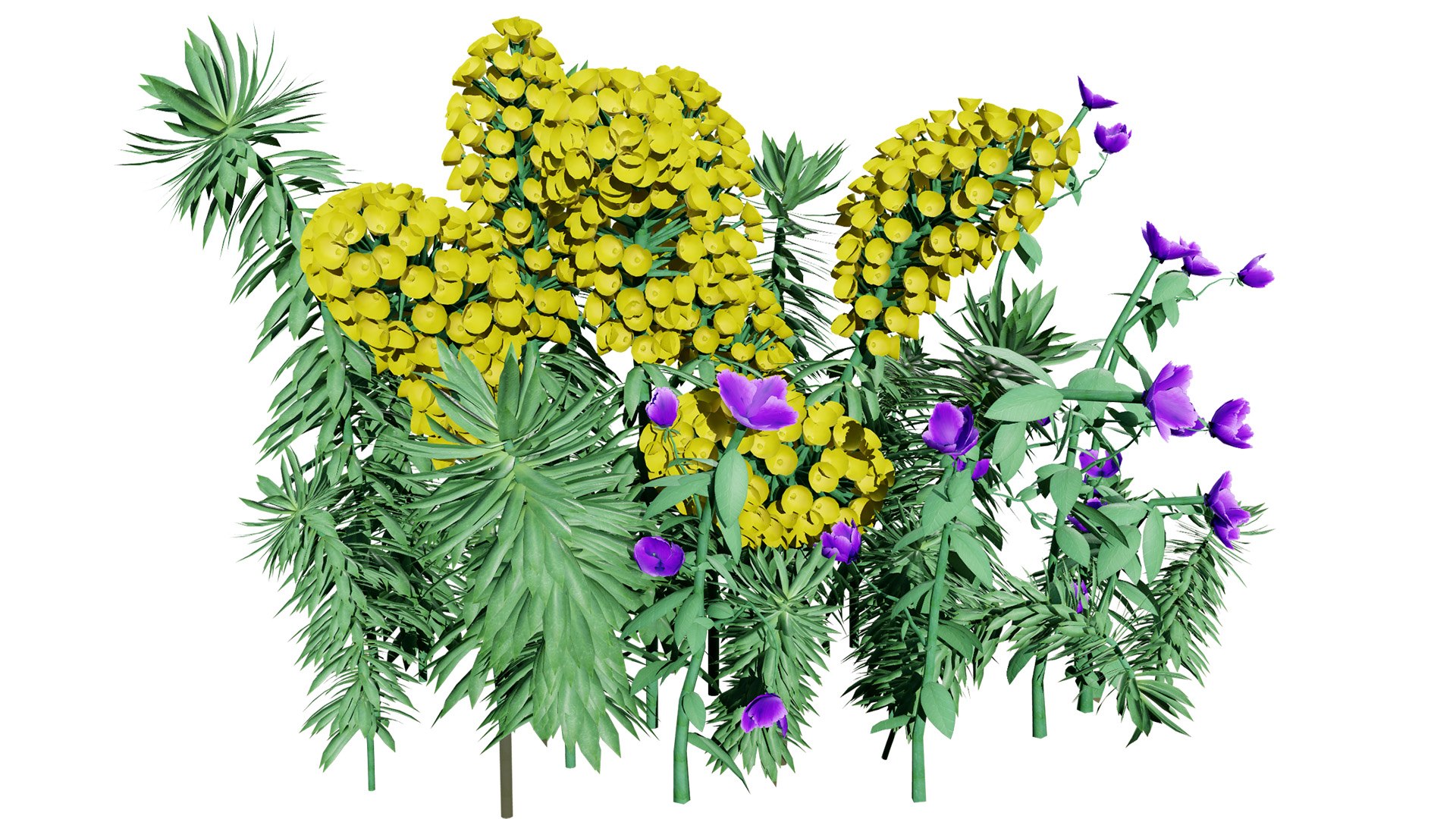 Realistic Euphorbia Plant 3D Model 3D model https://p.turbosquid.com/ts-thumb/3C/GISvlB/mO/ecsw2l/jpg/1731519654/1920x1080/fit_q87/fac2a49973607837486368b3f75694f061e3b4f6/ecsw2l.jpg