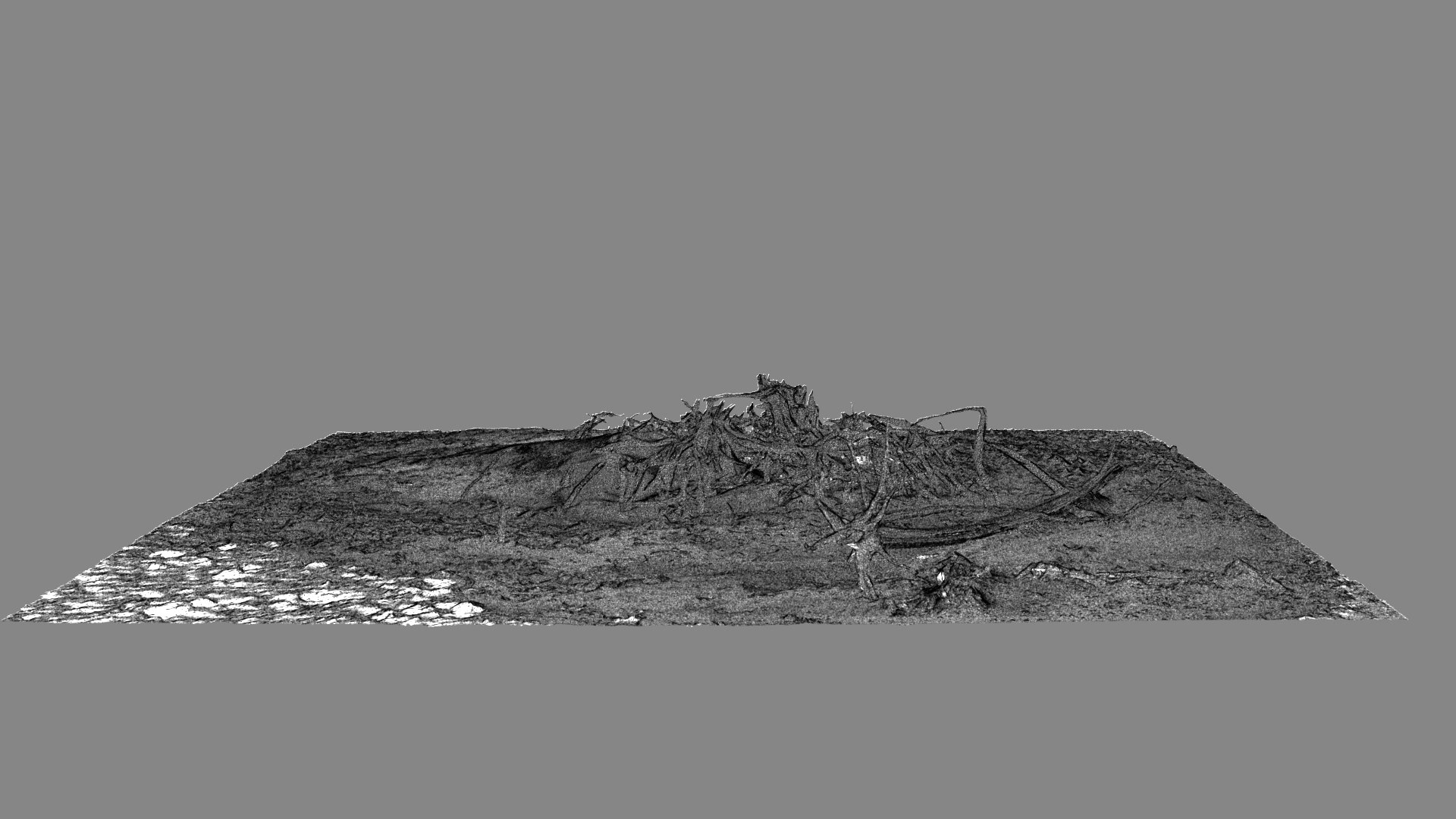 Dead Tree 007 3D - TurboSquid 2324912