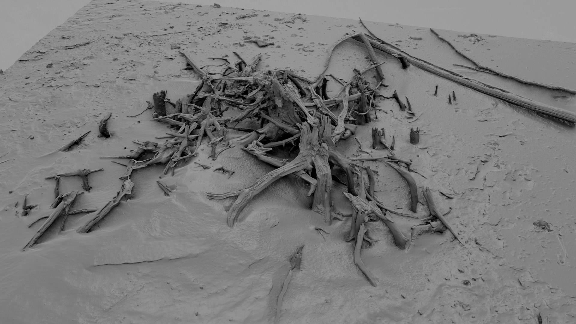 Dead Tree 007 3D - TurboSquid 2324912