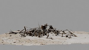 Dead Tree 007