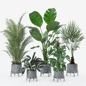 3D Plants collection 130
