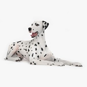 3D model Lying Dalmatian Dog Fur