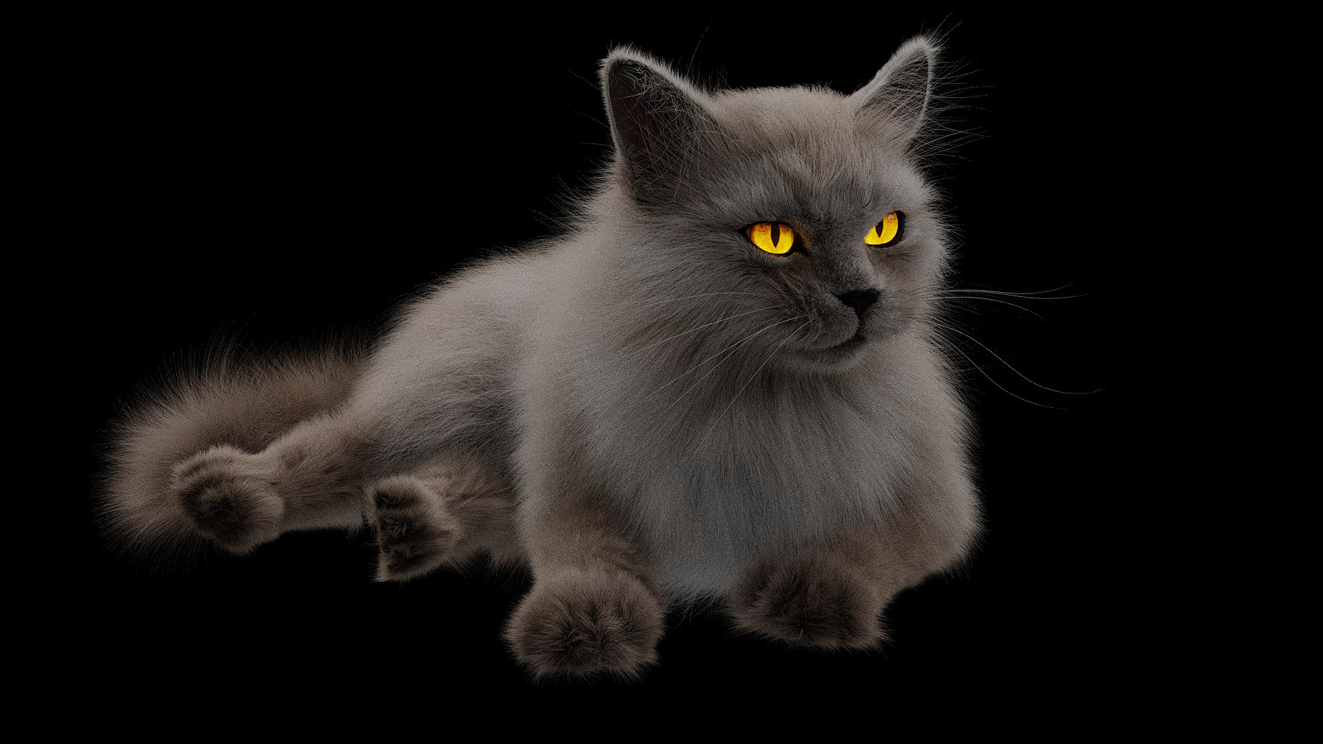 Fluffy Cat 3D Model - TurboSquid 2336495