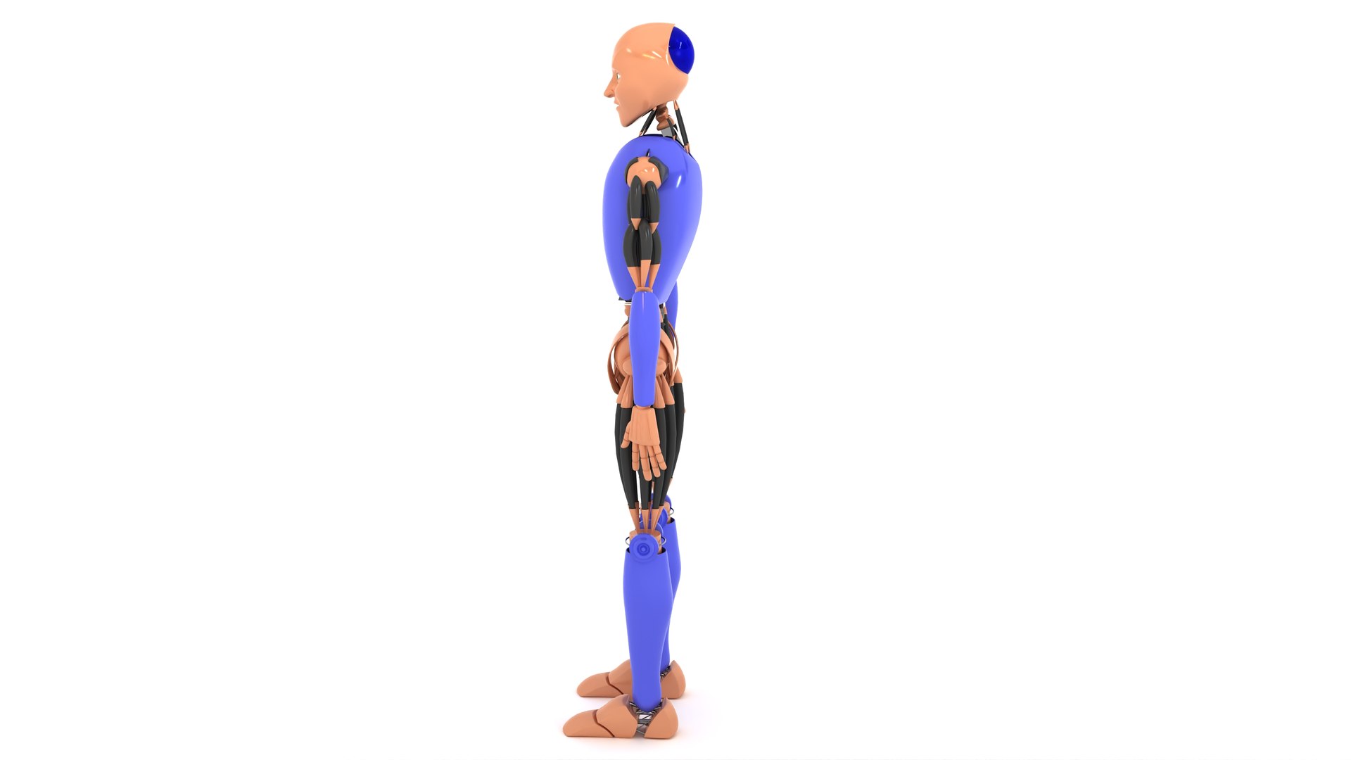 Humanoid Robot model https://p.turbosquid.com/ts-thumb/3D/AbOzXQ/0n/humanoidrobot_003/jpg/1735474566/1920x1080/fit_q87/11c912e701026bde56401082bf81f1ff157846f8/humanoidrobot_003.jpg