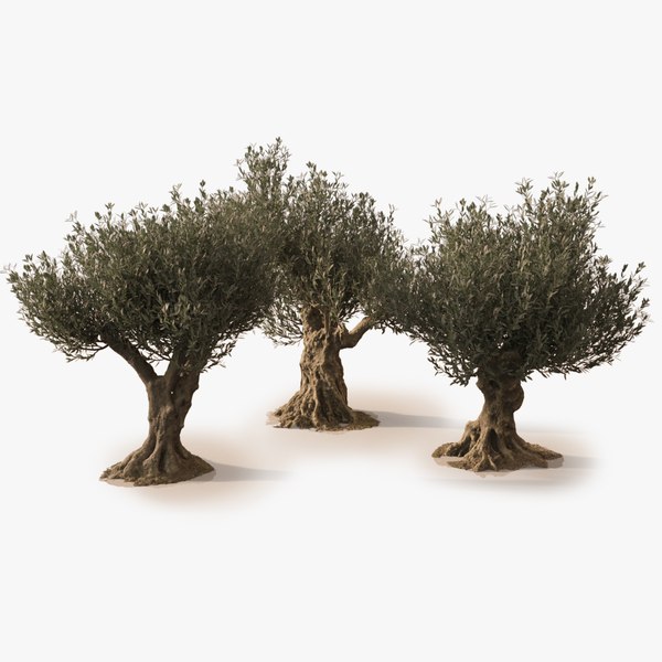 olive tree 3ds