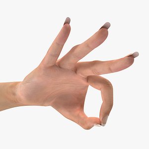 Female Hand 2 Ok Sign 3D Model