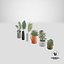 3D realistic potted plants model