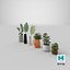 3D realistic potted plants model