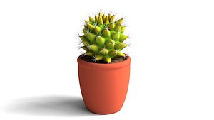 3D model Vase with Cactus 3D Model