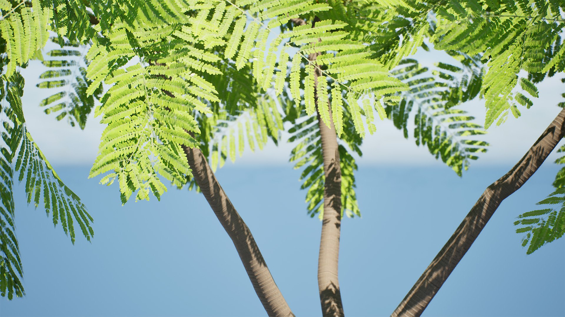 Brazilian Firetree 3D Model 3D model https://p.turbosquid.com/ts-thumb/3D/PE4hQg/II/highresscreenshot000002/jpg/1731259641/1920x1080/fit_q87/1ed60bc2b1e013cc43f278dfd55b41aa06b19509/highresscreenshot000002.jpg
