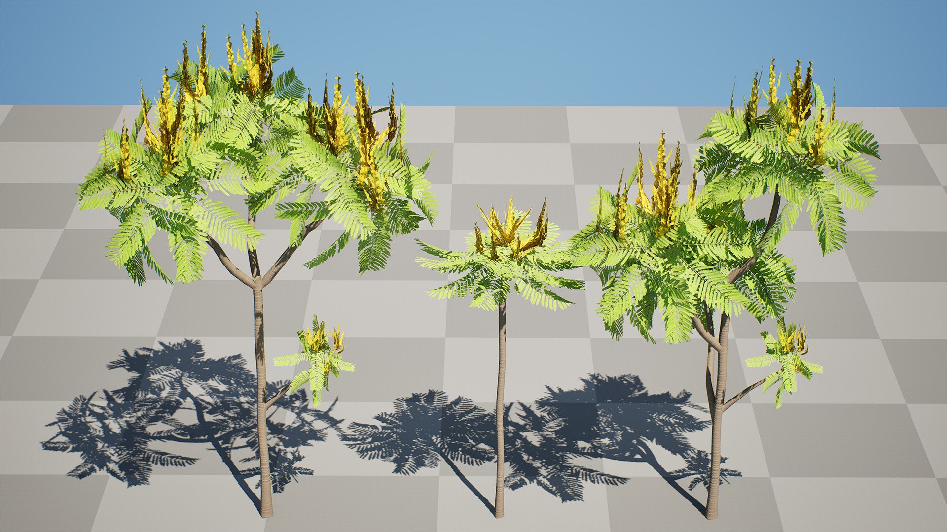 Brazilian Firetree 3D Model 3D model https://p.turbosquid.com/ts-thumb/3D/PE4hQg/UJ/highresscreenshot00000/jpg/1731259646/1920x1080/fit_q87/81fc4ccdc7f420e9dcb67fe53bfdcbae3e463c6c/highresscreenshot00000.jpg