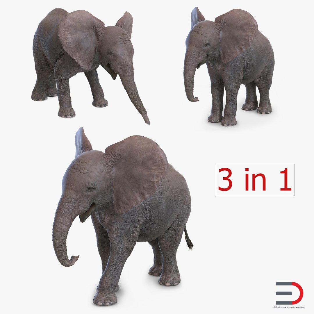 Baby Elephants Collection 3D model preview