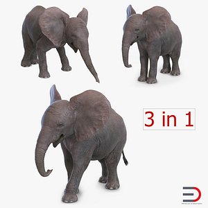 baby elephants 3ds
