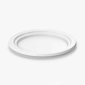 White Plastic Plate 3D model